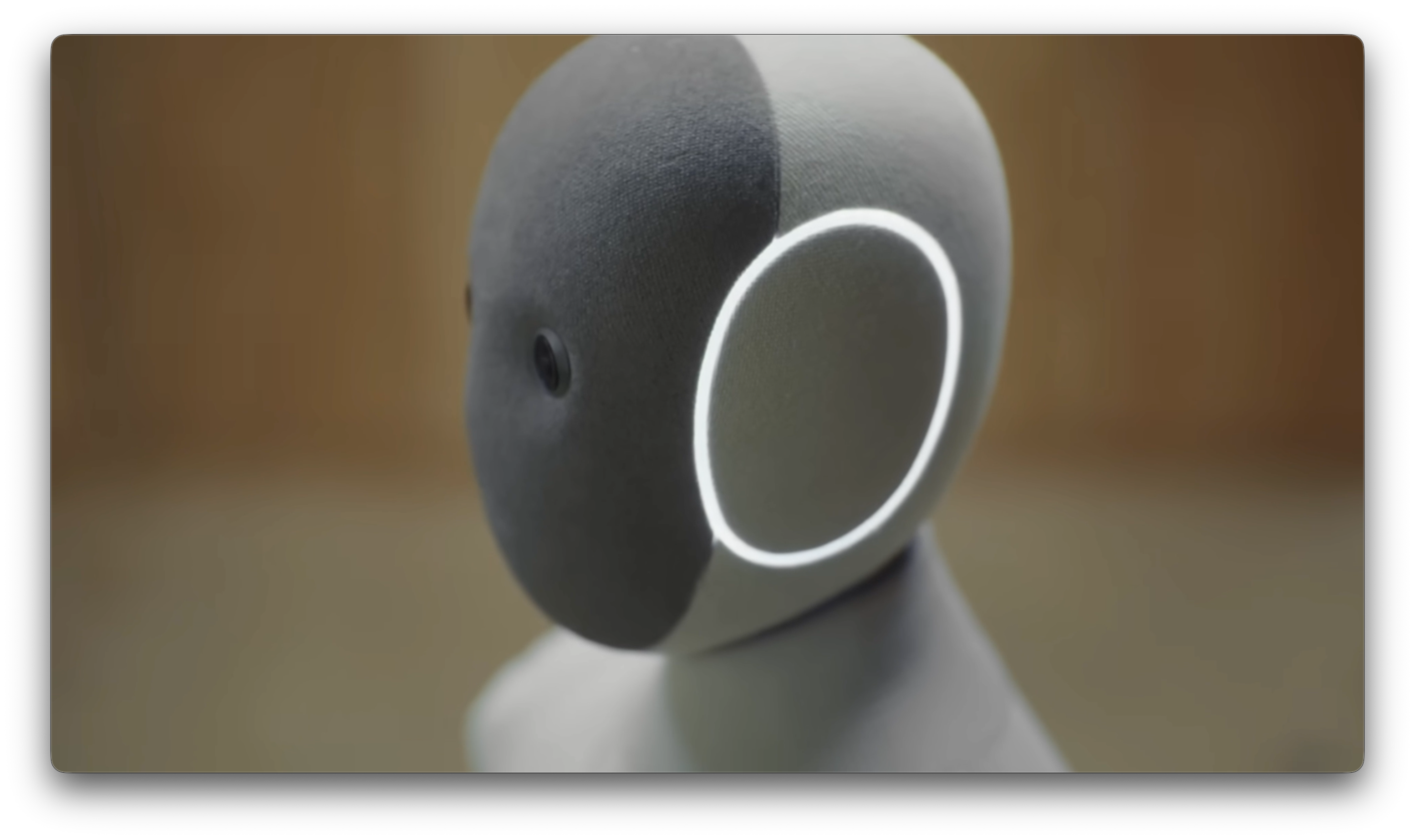 NEO robot