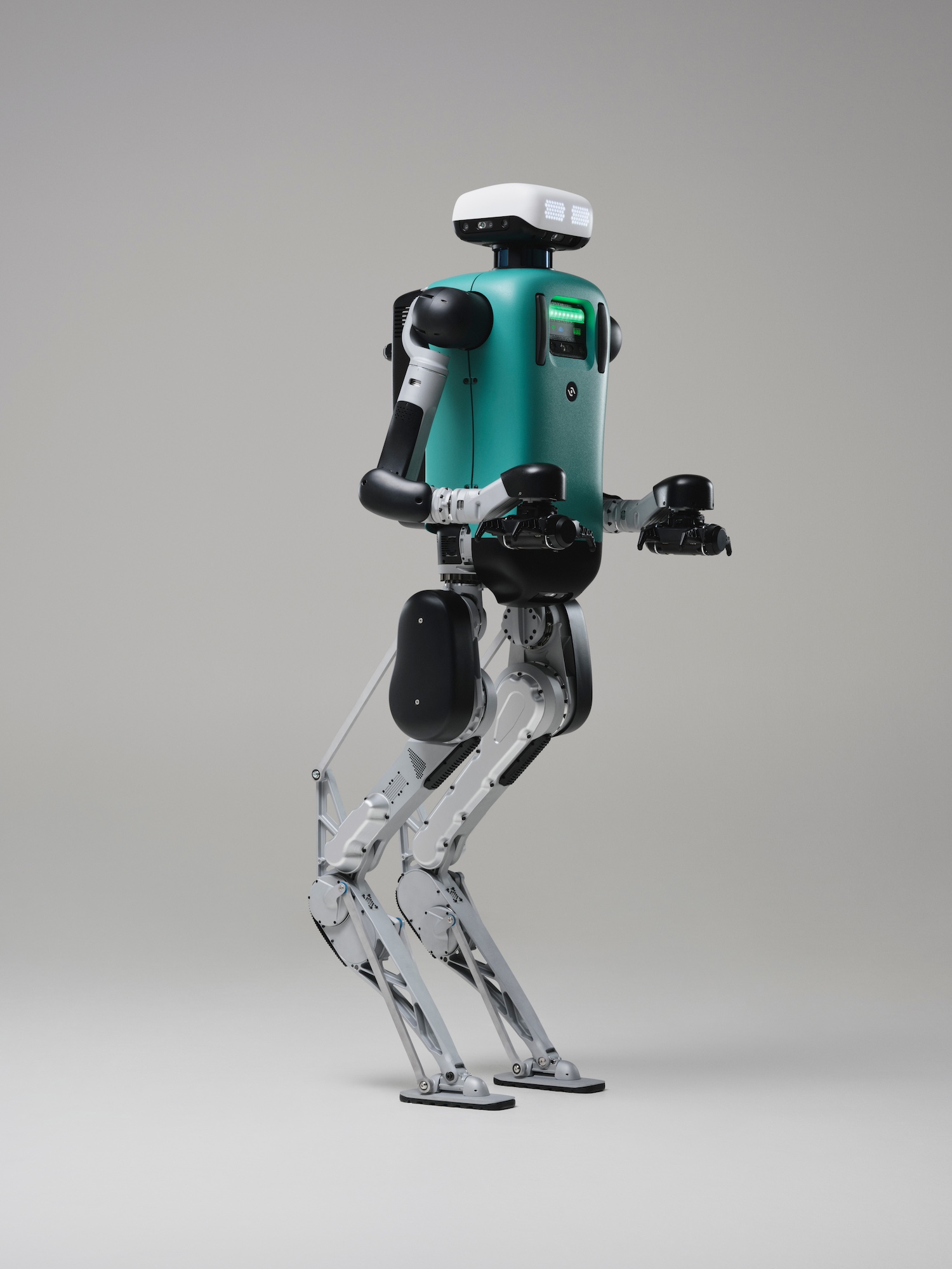 Digit robot