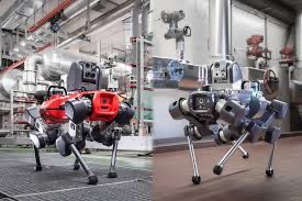ANYmal Platform robot
