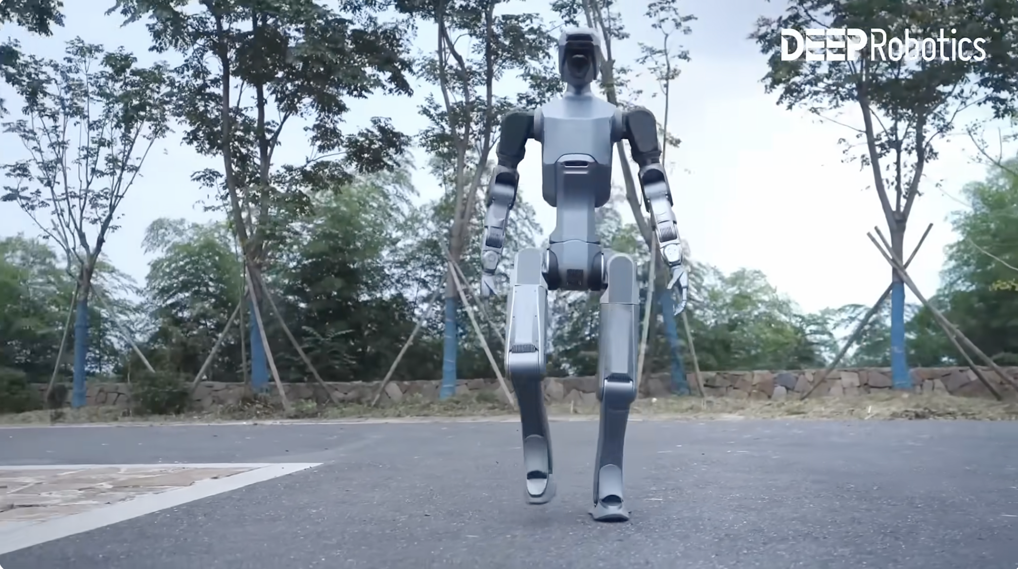 DR02 robot