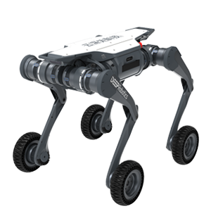LYNX robot