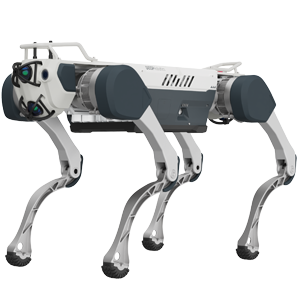 X30 Pro robot