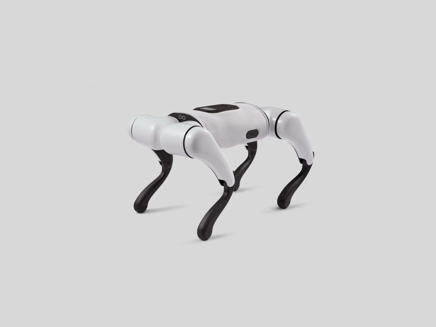 FX Navi robot