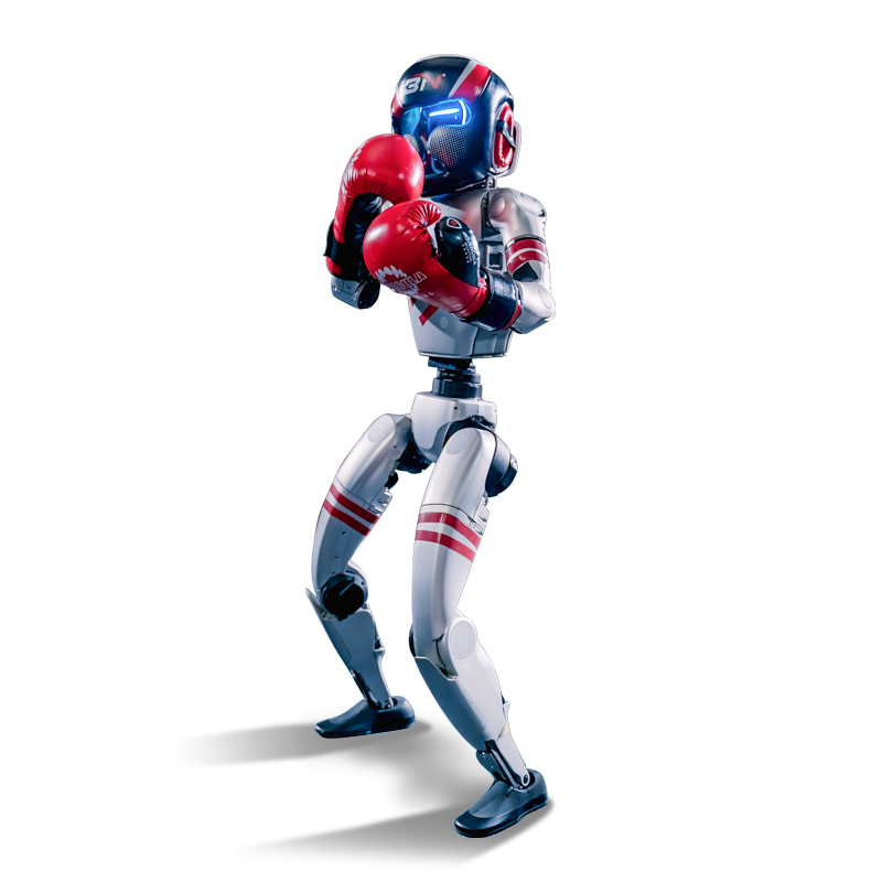 Unitree G1 Boxing robot